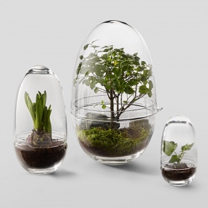 DESIGN HOUSE STOCKHOLM mini skleník Grow malý