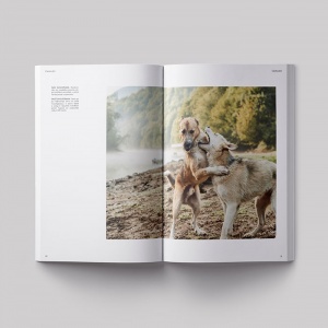 SOFFA časopis SOFFA 26