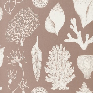 FERM LIVING tapeta Katie Scott Shells růžová