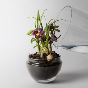 DESIGN HOUSE STOCKHOLM mini skleník Grow střední