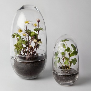 DESIGN HOUSE STOCKHOLM mini skleník Grow střední