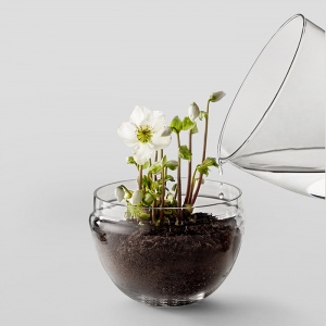DESIGN HOUSE STOCKHOLM mini skleník Grow velký