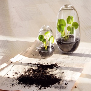 DESIGN HOUSE STOCKHOLM mini skleník Grow velký