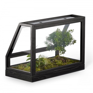 DESIGN HOUSE STOCKHOLM domácí skleník Greenhouse Mini tmavě šedý
