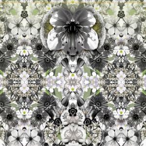 MOOOI CARPETS koberec Eden King
