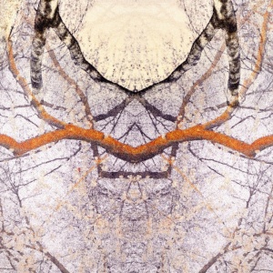 MOOOI CARPETS koberec Diamond tree