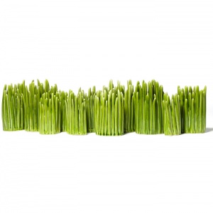 NORMANN COPENHAGEN váza Grass velká