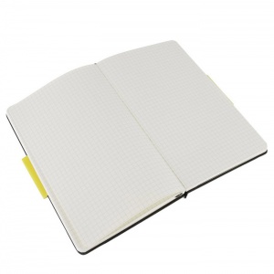 MOLESKINE zápisník čtverečkovaný L černý