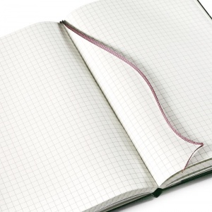 MOLESKINE zápisník čtverečkovaný L černý