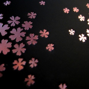 PAPERBLANKS zápisník Petal Frost