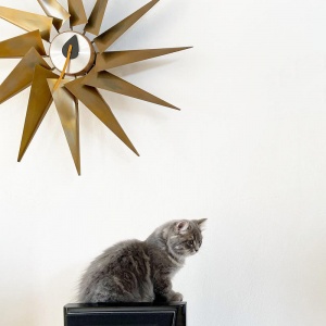 VITRA nástěnné hodiny Turbine Clock